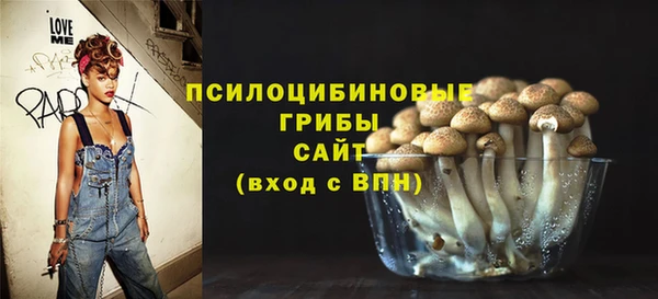 прущие грибы Абинск