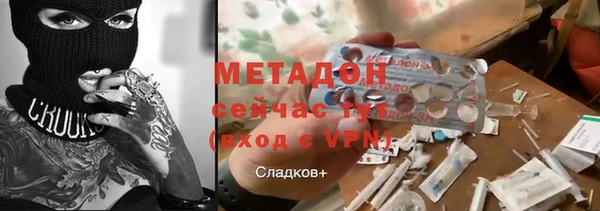 прущие грибы Абинск