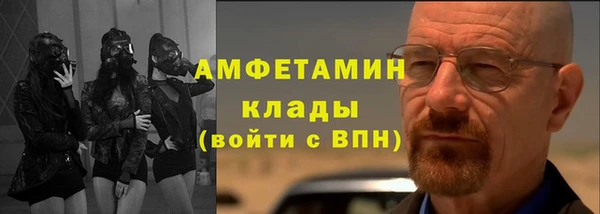 прущие грибы Абинск
