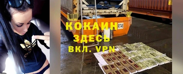 прущие грибы Абинск
