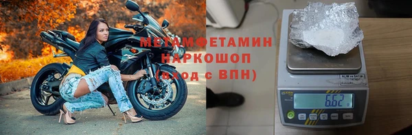 прущие грибы Абинск
